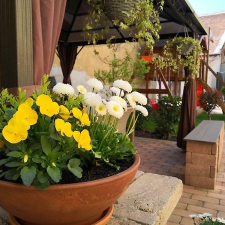 Korzó Apartman Kőszeg Exterior foto