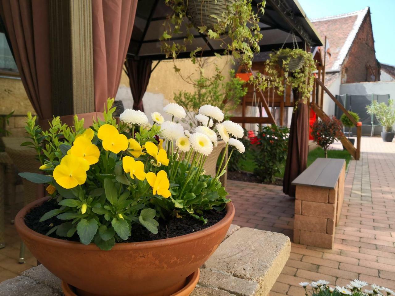Korzó Apartman Kőszeg Exterior foto